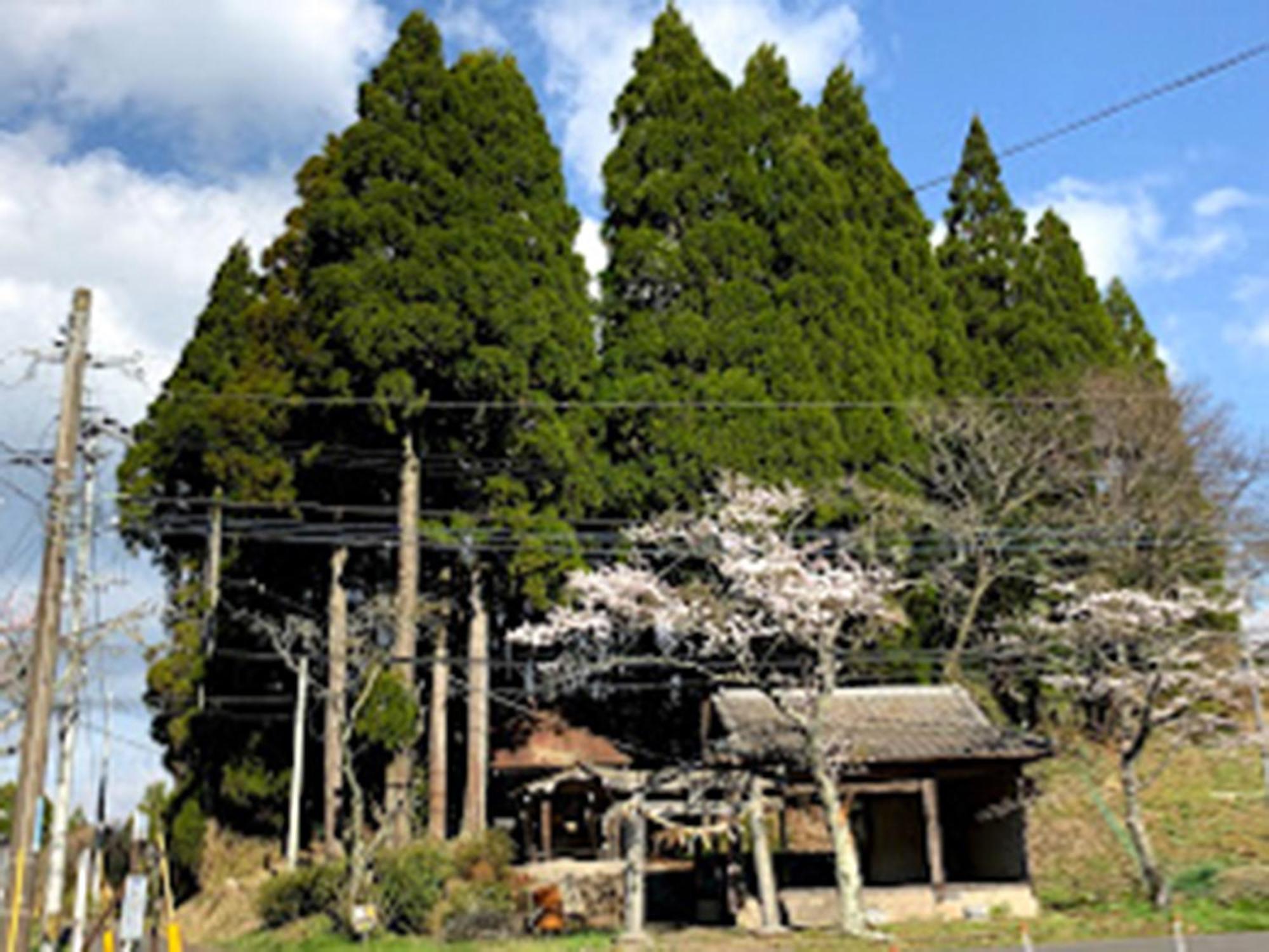 星またたく森のゲストハウスkurihai 大分市 エクステリア 写真